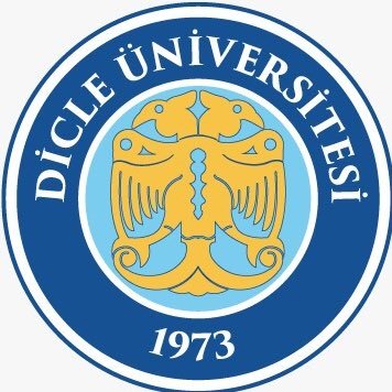 dicle logo 2021