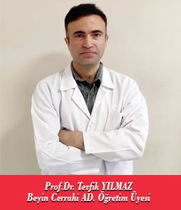 Prof.Dr.Tevfik YILMAZ