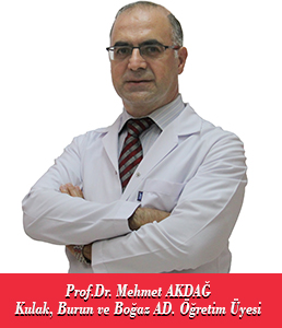 Prof.Dr.Mehmet AKDAĞ