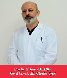 Doç.Dr.Mehmet Veysi BAHADIR
