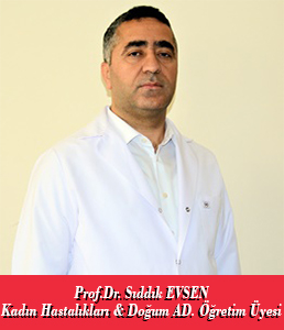 Prof.Dr. Mehmet Sıddık EVSEN