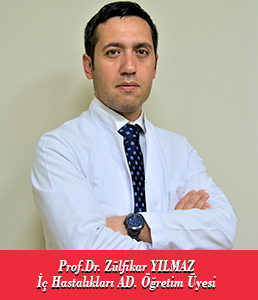 Prof.Dr. Zülfikar YILMAZ